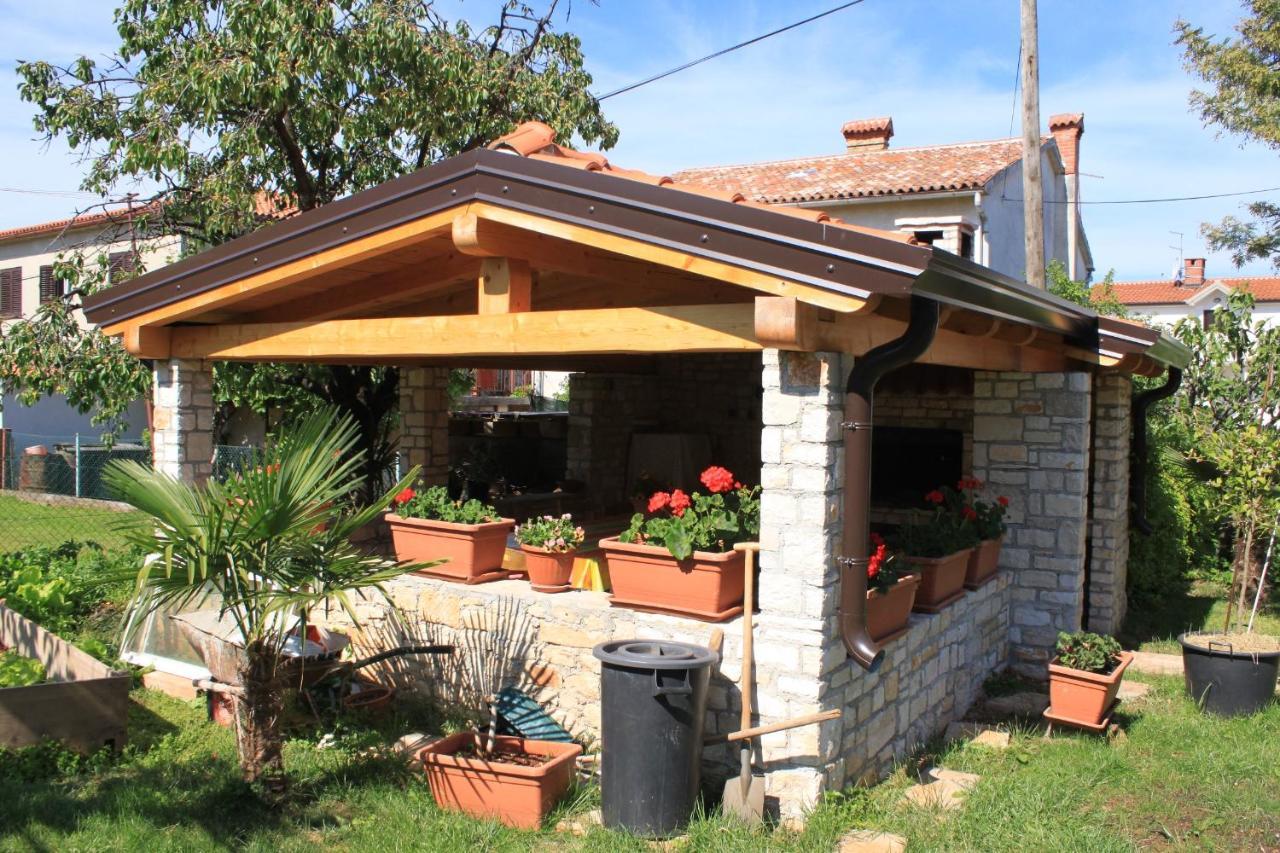 Studio Umag 7666A Luaran gambar